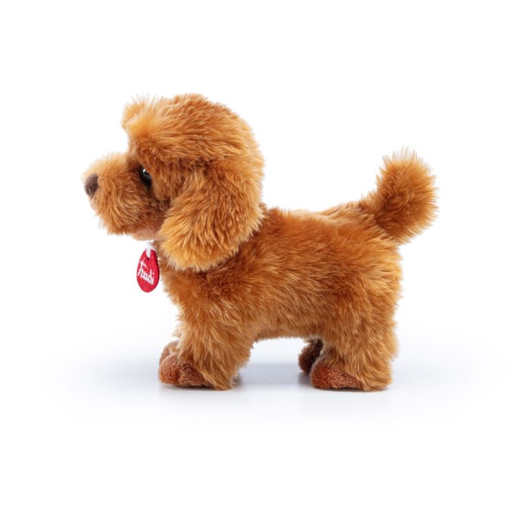 xr:d:DAFxl9rwsF0:17,j:7755604931724714127,t:23101808