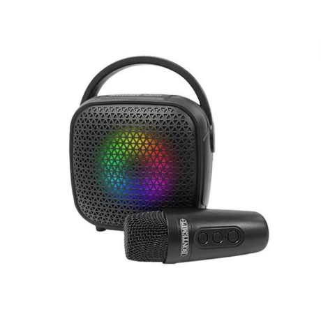 CASSA WIRELESS CON MICROFONO