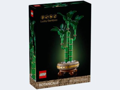 LEGO BOTANICALS 10344