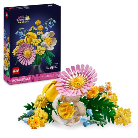 LEGO BOTANICALS 10347