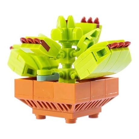 MATTONCINI EXOTIC PLANTS 492