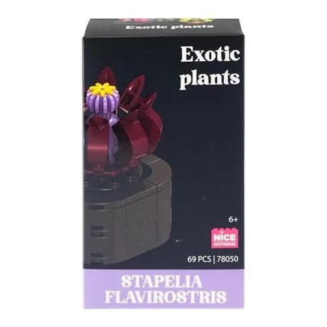 MATTONCINI EXOTIC PLANTS 508