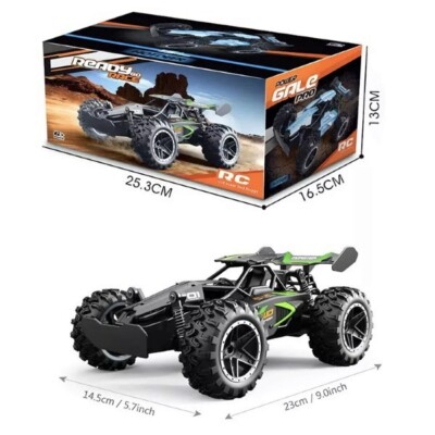 2,4GHZ DESERT BUGGY