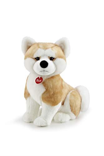 AKITA ASCANIO