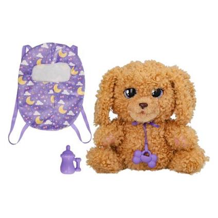 BABY PAWS LABRADOODLE CUCCIOLO ADORABILE