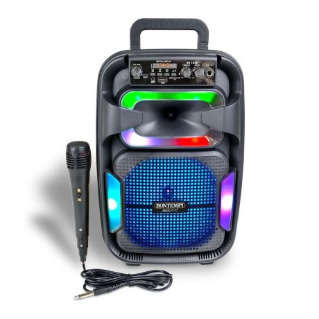 CASSA WIRELESS CON MICROFONO DINAMICO