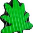 MEGA LEAF FLOAT DIDAK - 175X170X13CM