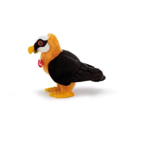 TRUDINO GIPETO