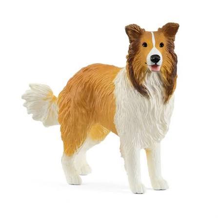 CANE COLLIE