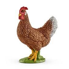 GALLINA
