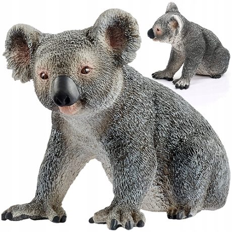 KOALA