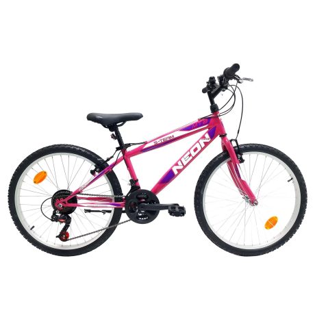NEON S-TEAM 24" GIRL BICI