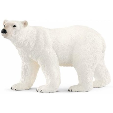 ORSO POLARE