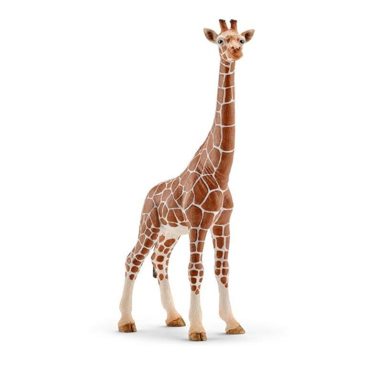 SCHLEICH_FEMMINA_DI_GIRAFFA_1475_1783011950_0-1.jpg