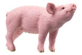 SCHLEICH PORCELLINO 13934